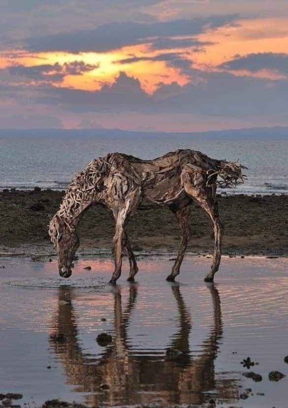 James Doran-Webb Driftwood Equestrian Sculptor